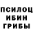 Псилоцибиновые грибы мухоморы Ahmed Abdalhadi