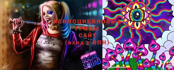 герыч Алексеевка