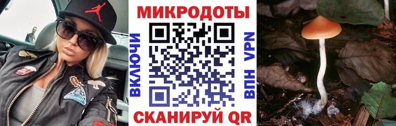 цена наркотик  Неман  Псилоцибиновые грибы MAGIC MUSHROOMS 